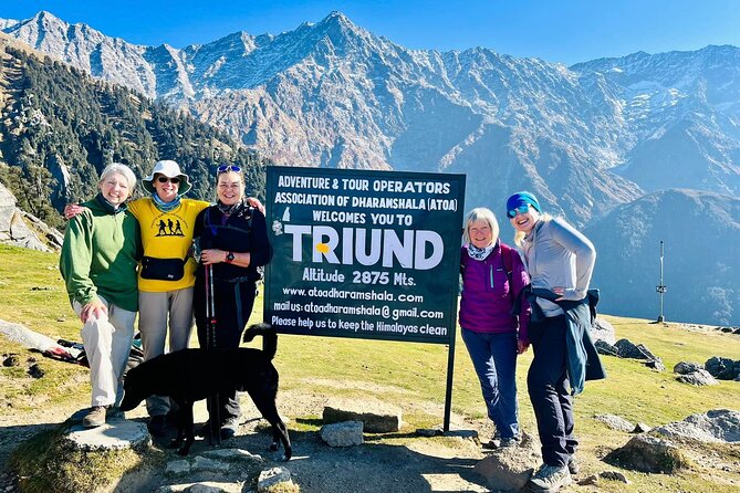 Dalai Lama Himalayan Trek - McLeod Ganj descent: a big emotional shift after summit day
