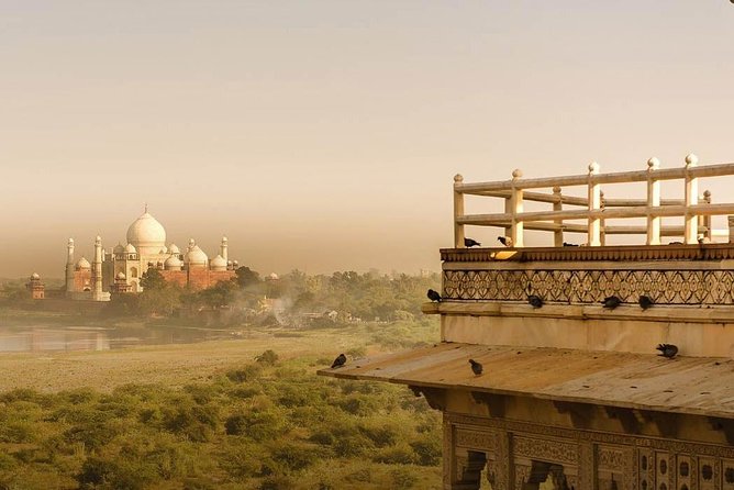 Day Tour Taj Mahal and Agra Tour From Delhi By Car 11 Hrs Only - Price and logistics: how this tour delivers real value