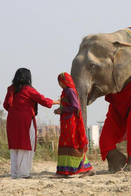 Delhi: 3Day Golden Triangle with Elephant SOS (5 Star Hotel) - Key things worth knowing before you go