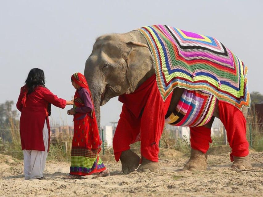 Delhi: 3Day Golden Triangle with Elephant SOS (5 Star Hotel) - Day 2 in Agra: Taj Mahal at dawn, Agra Fort, then Elephant SOS near Jaipur