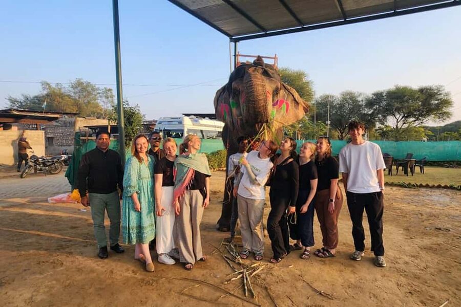 Delhi - Agra - Jaipur 3 Day Tour - The Golden Triangle in 3 Days: Fast, Guided, and Focused on the Must-Sees