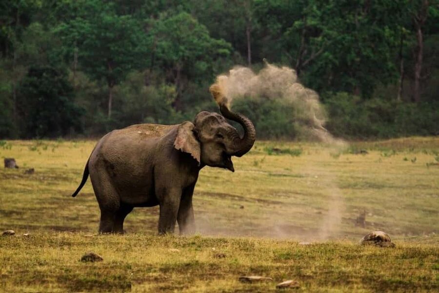 Delhi Agra Jaipur Golden Triangle Multiday Trip with Safari - The big-picture take: how this trip feels day to day