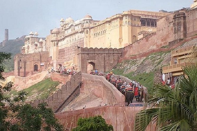 Delhi Agra Jaipur Tour with Ranthambore Wildlife Safari - Golden Triangle Plus Ranthambore Safari: What You’re Actually Paying For