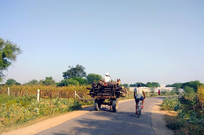 Delhi- Agra Long Distance Bicycle Trip - Day 1 Vrindavan ride: flat miles, dust in the air, real village life