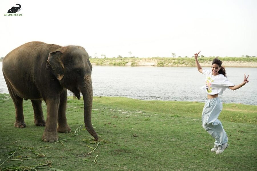 Delhi: All-Inclusive Day trip Taj Mahal with Elephant SOS - Price and value: what $21 gets you, and what you must plan for