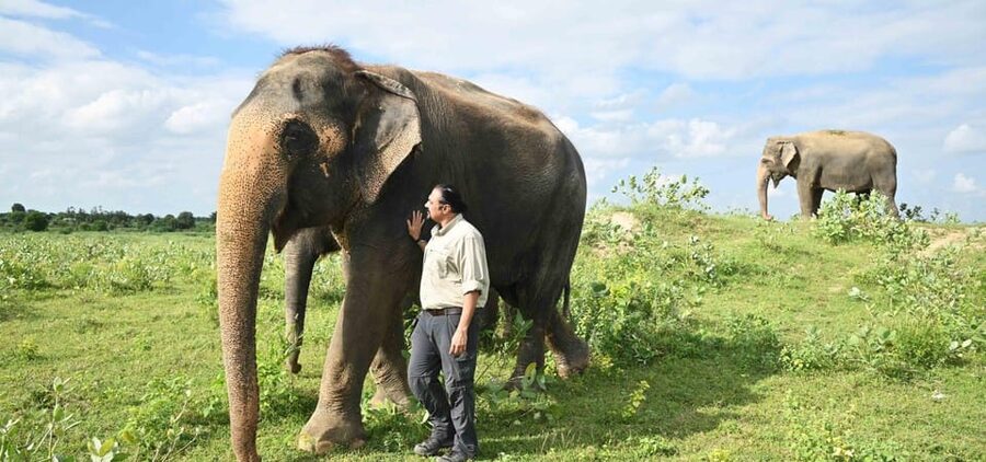 Delhi: All-Inclusive Day trip Taj Mahal with Elephant SOS - Who this fits best (and who might want a different plan)
