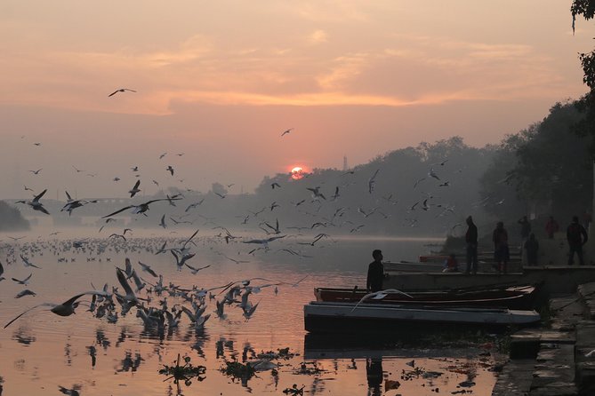 Delhi By Dawn:Secret morning Delhi Tour + Breakfast all inclusive - Why the 6:00 am start is the whole point