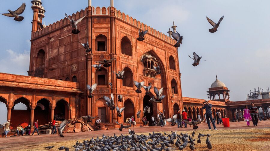 Delhi City Tour: Old, New, or Both – Half & Full Day Options - The Old Delhi Half-Day: Tuk-Tuk Streets and Big Mosque Energy