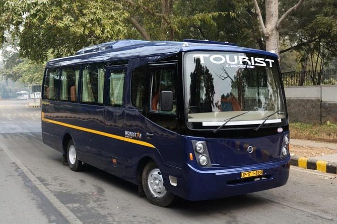 Delhi Custom And Shopping Tour - What $45 buys you in New Delhi shopping time