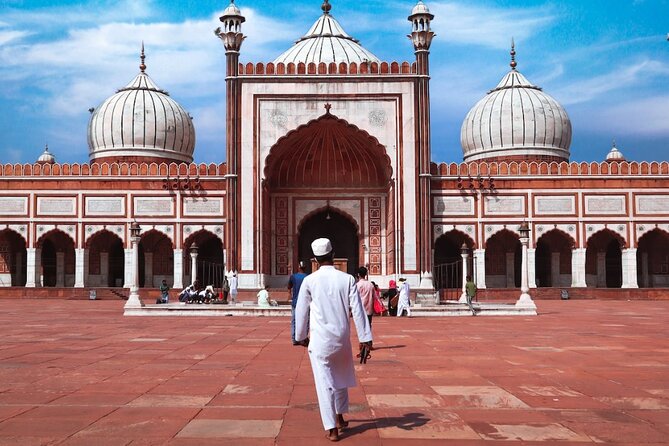Delhi: Customized Full Day Tour of Old and New Delhi - New Delhi orientation: starting with the big-picture view