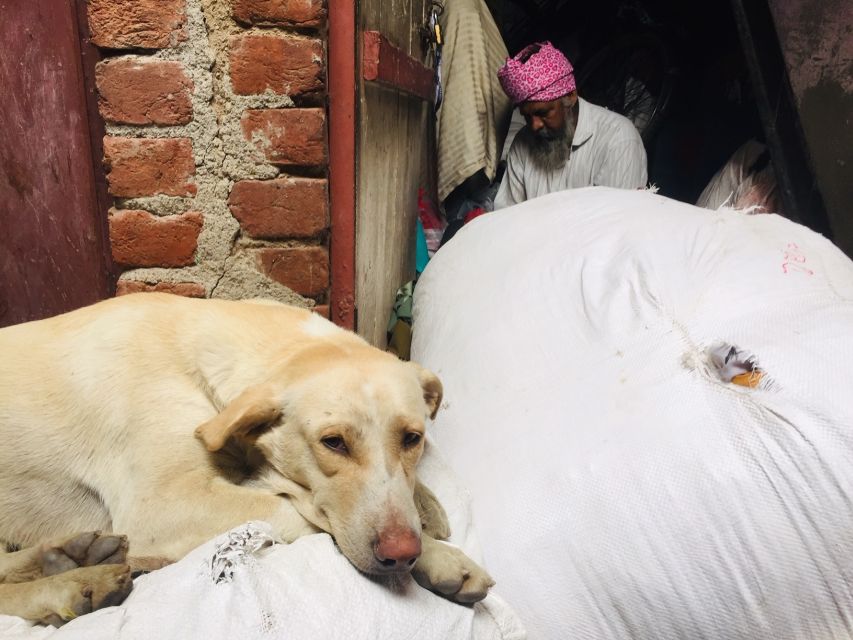 Delhi: Ethical Sanjay Colony Slum Tour - Who should book, and who should skip this Sanjay Colony tour