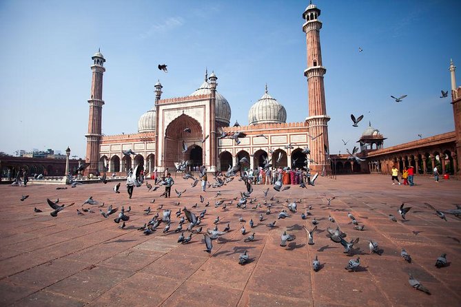 Delhi Full Day Including Old and New Delhi Private Tour - Key highlights at a glance