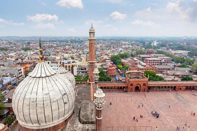 Delhi Full Day Including Old and New Delhi Private Tour - How private transport changes your whole Delhi day