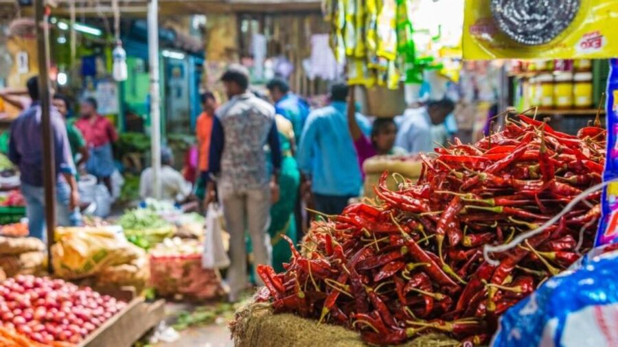 Delhi: Half day Shopping tour with guide by car. - Door-to-door logistics: AC car, driver, and a guide who handles the hard parts