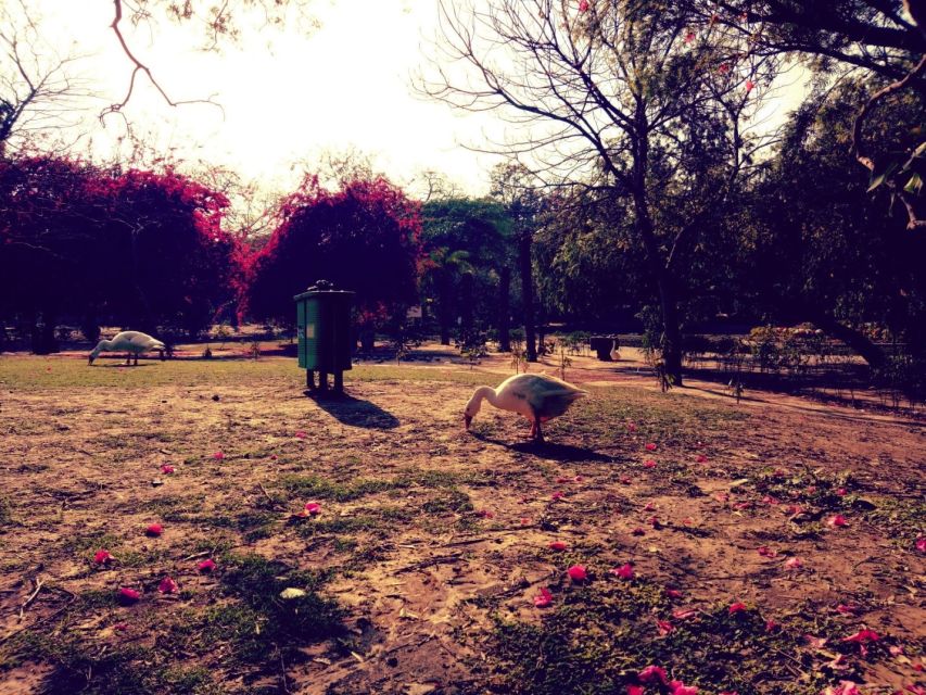 Delhi: Heritage Photography Tour - Bara Gumbad tomb and mosque area: domes, arches, and in-between lanes