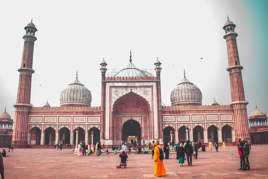 Delhi Highlights: Private Old & New Delhi with Fee Options - Lunch Break and the Shift to New Delhi