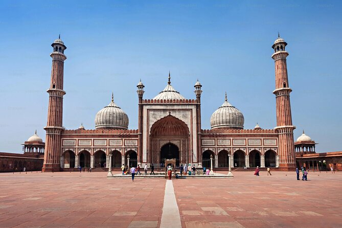 Delhi Local city Tour with Car and Guide - Your Driver-Guide Setup: Pickup, Mobile Ticket, and Private Pace