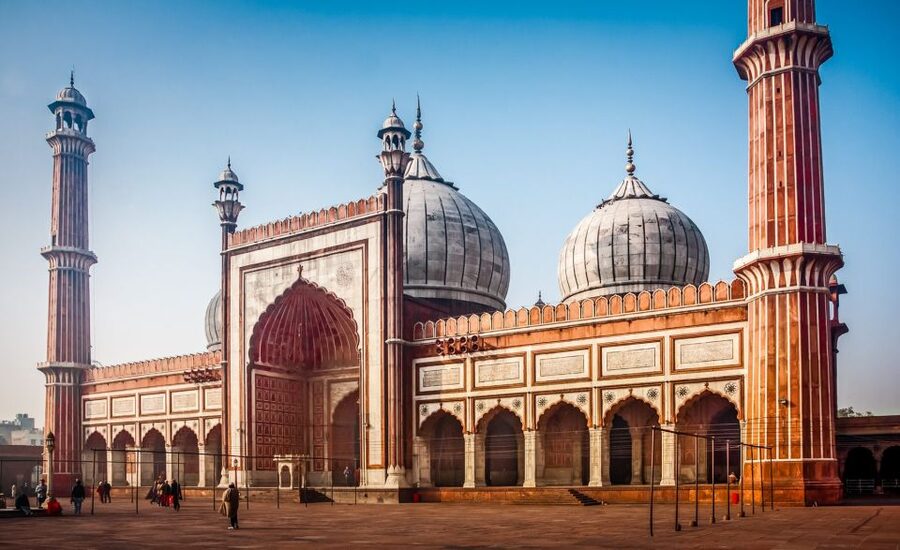 Delhi: Old Delhi City Tour with Tuk Tuk Ride & Street Food - Price and value: what $12 includes and what it doesn’t