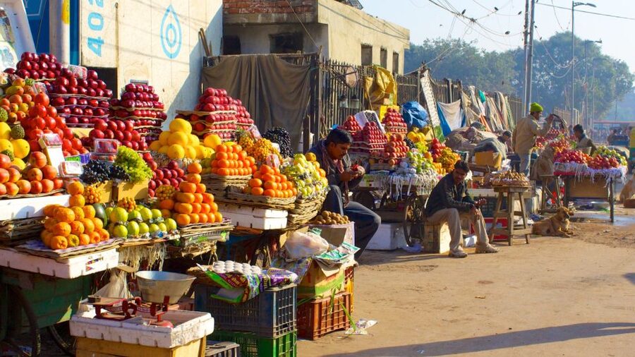 Delhi: Old Delhi City Tour with Tuk-Tuk Ride & Street Food - Practical considerations before you go