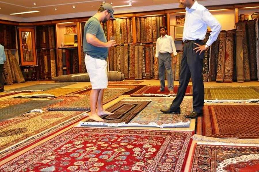 Delhi: Private Shopping Tour with Guide and Transfer - Dilli Haat and Golden Arcade: carpets, Pashmina, silk, and miniatures