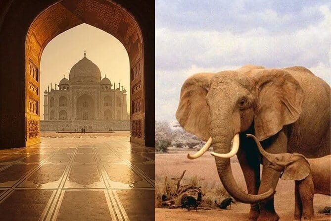 Delhi: Same Day Taj Mahal & Agra Fort Tour with Baby Taj & Lunch - Lunch at Courtyard Agra: value depends on your package choice