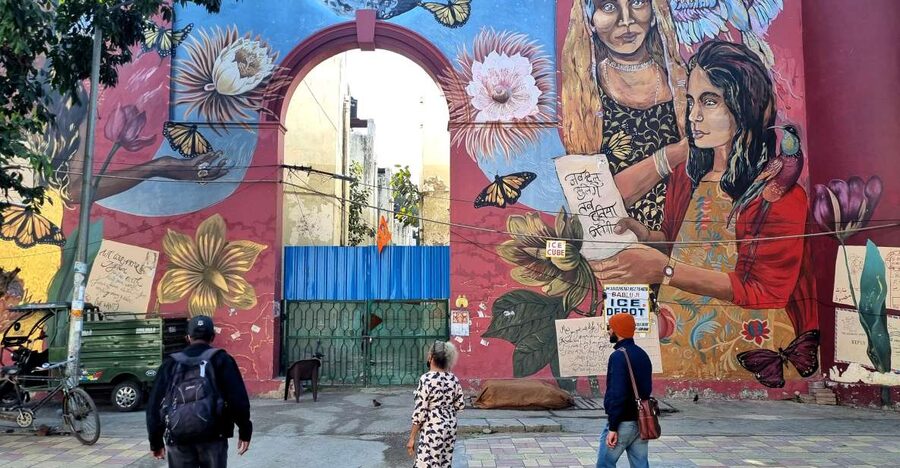 Delhi Street Art Tour: Explore the Murals & Visit a Stepwell - Key Highlights You’ll Actually Feel