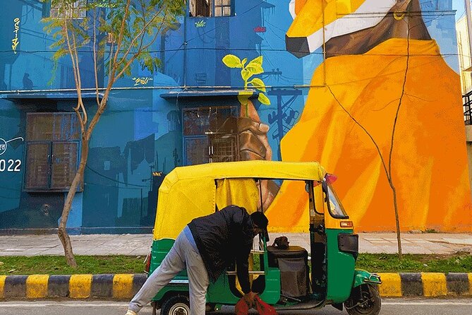 Delhi Street Art Walk in Lodhi Art District with Chai & Food - What the mural stories teach you to notice