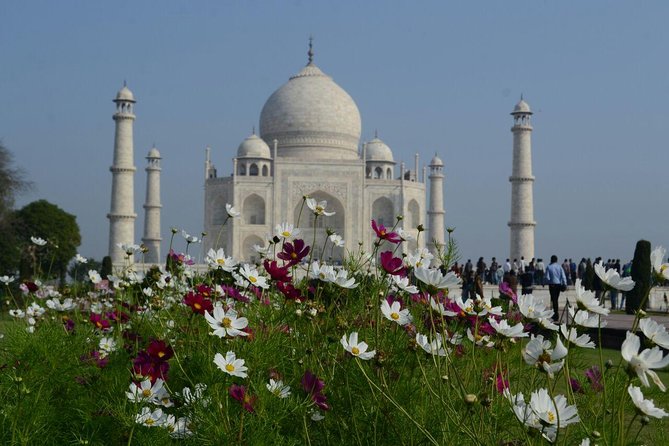 Delhi to Agra and Taj Mahal Private Day Trip by Express Train with Lunch - Taj Mahal timing, the VIP bench photo, and how to enjoy it without stress