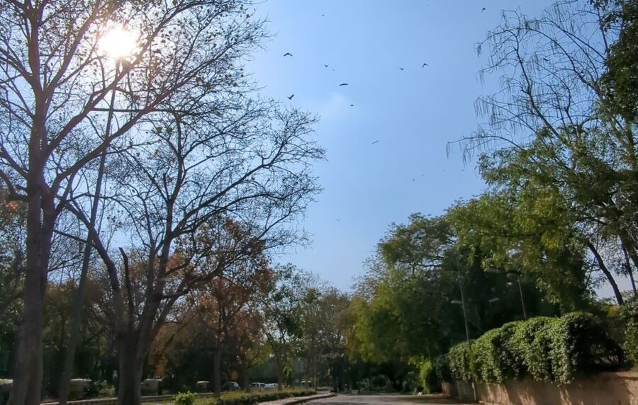 Delhi: Yoga in Lodhi Garden - Why the location matters more than you think
