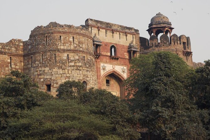 Delhi Zoo White Tigers & lions with Old Fort Visit - Key things to know before you go