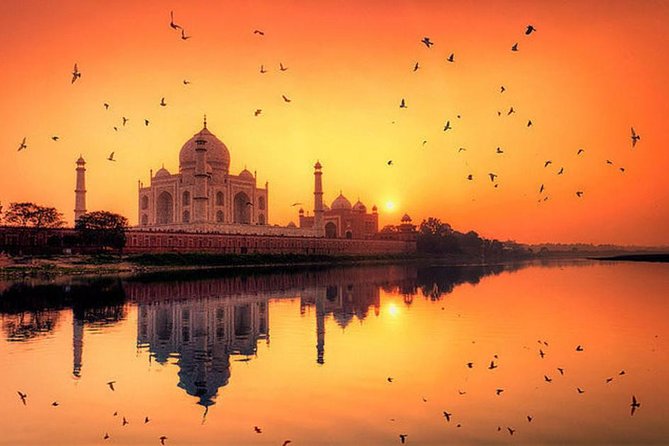 Early Morning Sunrise Taj Mahal and Agra Fort From Delhi By Express Highway - Price and What You’re Actually Paying For ($90)