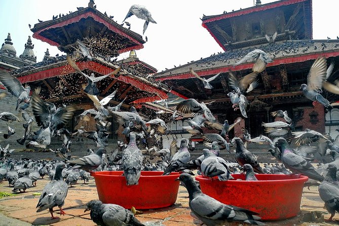 Essence of magnificent India and Nepal - Value Check: What $580 Covers (and What You’ll Pay Later)