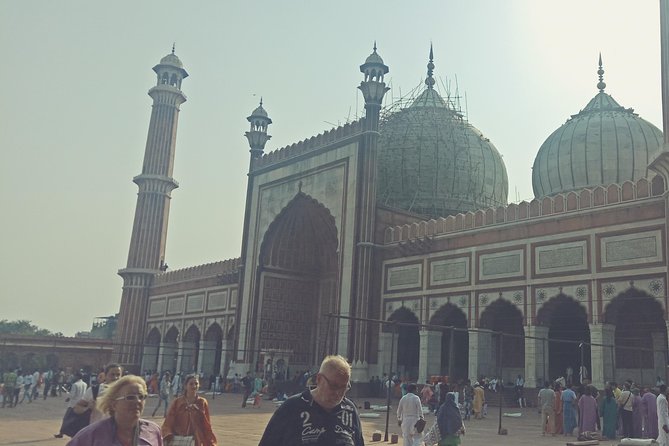Exceptional Golden Triangle Tour 3 Nights 4 Days - Guide and driver details: the real comfort factor