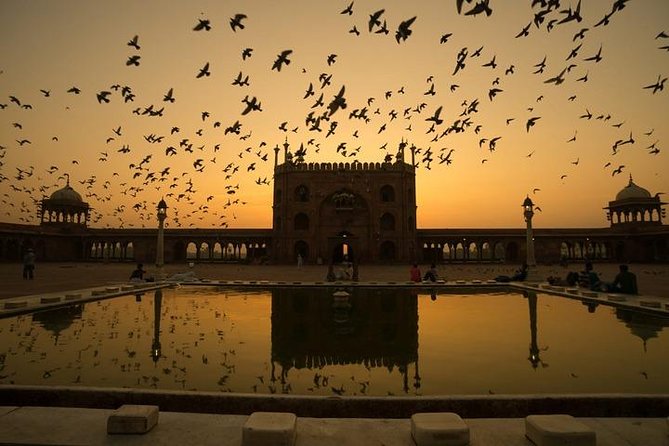 Five Day - Private Luxury Golden Triangle Tour to Agra & Jaipur From New Delhi. - Price and Value: What $230.35 Includes (and What You’ll Still Pay)