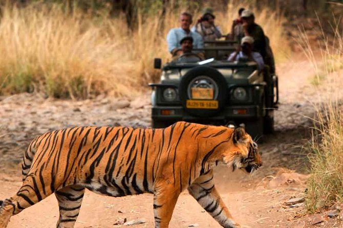 Five Days Golden Triangle Tour with Ranthambore Delhi Agra Jaipur - Day 1 in Delhi: pickup, Lutyens’ Delhi, and India Gate first