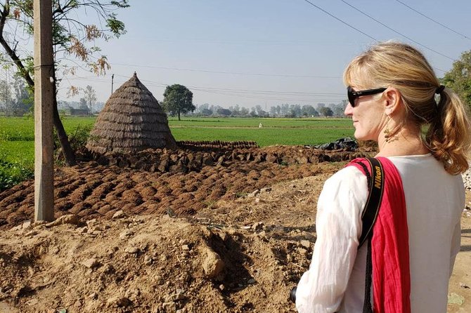 Food Tour With Cooking Class in Local Village from Delhi - Entering Village Life: Farm Views, a School Visit, and the Ox-Cart Ride