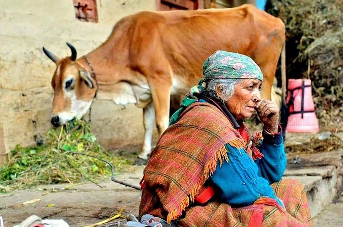 Food Tour With Cooking Class in Local Village from Delhi - Logistics That Matter: What to Pack and What to Wear