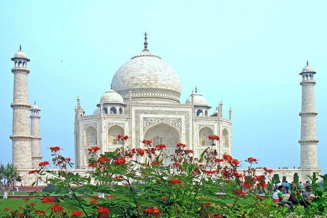 From Delhi: 1-day trip Mathura with Elephant conservation - Who This One-Day Mathura and Elephant Trip Suits Best