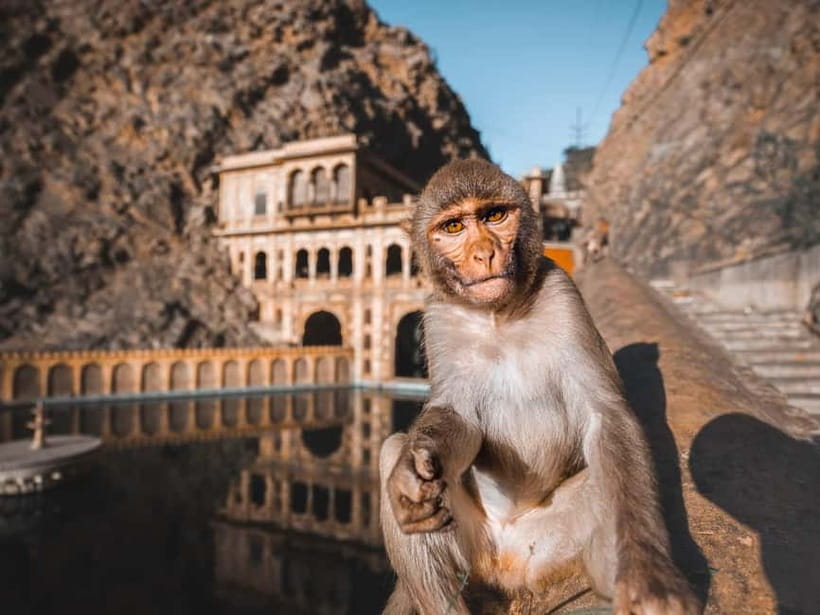 From Delhi: 2-Day Agra & Jaipur Golden Triangle Experience - Key things to know before you go