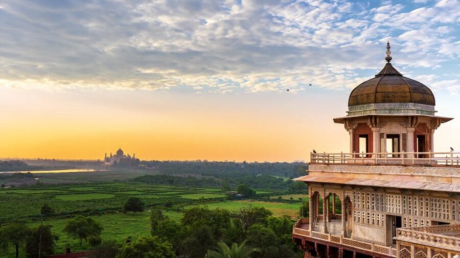 From Delhi: 5-Day Tiger Safari & Golden Triangle Tour - Day 3: Two Ranthambore Game Safaris (Morning and After Lunch)