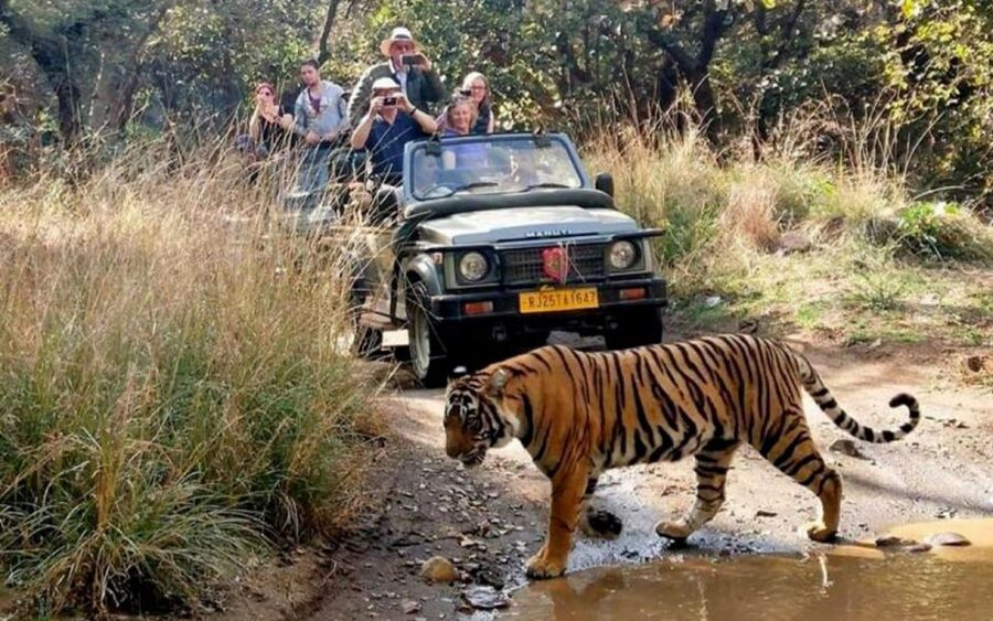 From Delhi: 6-Day Golden Triangle Tour with Ranthambore - Key points before you go