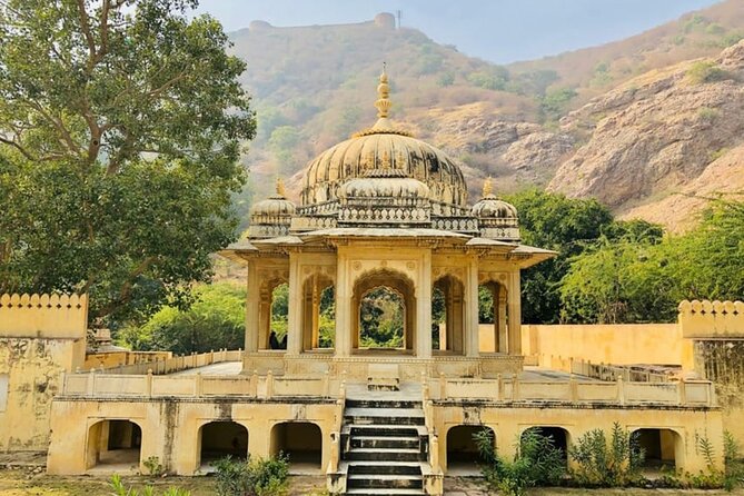 From Delhi : 6 Days Delhi, Jaipur, Agra & Ranthambore By Car - Ranthambore: two safari drives and a day built around patience