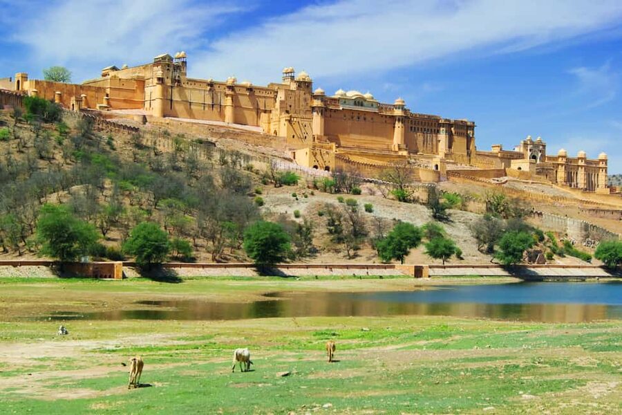 From Delhi: 8-Day Golden Triangle Jodhpur Udaipur Tour - Key Points You’ll Actually Care About