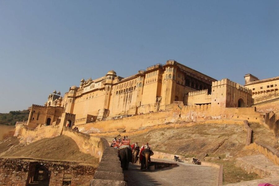 From Delhi: All-Inclusive Same-Day Jaipur Tour By Car Tour - Lunch in Jaipur: what to expect if you select it