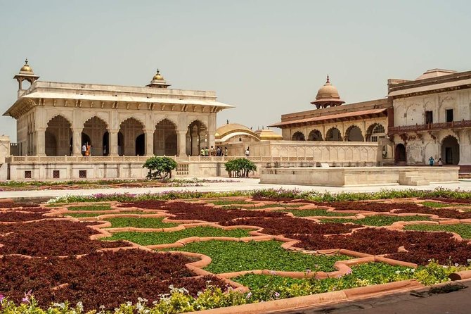 From Delhi: Luxury Taj Mahal Day Tour By Audi / BMW/ Mercedes - Courtyard by Marriott meal break: a real reset in the middle of travel