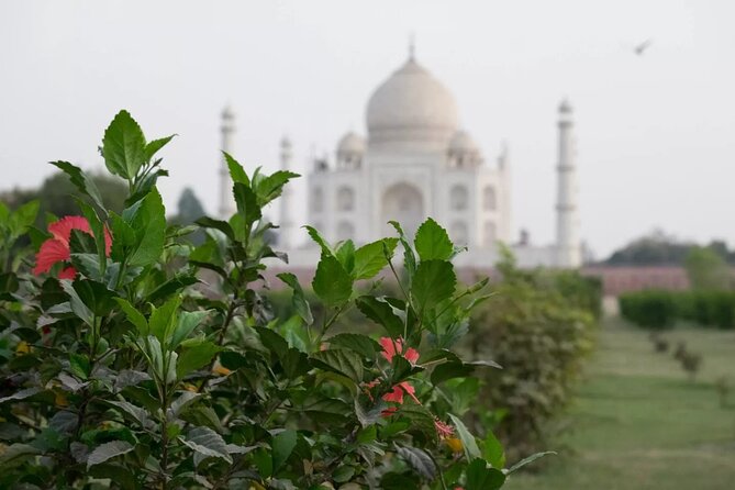From Delhi : Luxury Taj Mahal Tour By Luxury Car- All Inclusive - Price and Logistics: What $400 Really Buys You