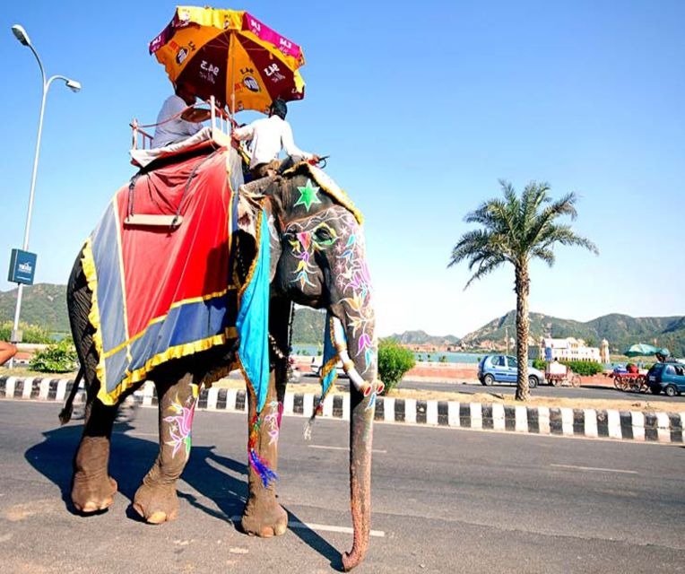 From Delhi: Private 2-Day Golden Triangle Agra & Jaipur Tour - Private guides and patient drivers: the value behind the scenes