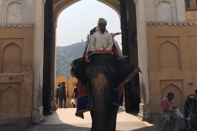 From Delhi: Private Jaipur Tour by Car - All Inclusive - Hawa Mahal: a quick stop that still feels memorable