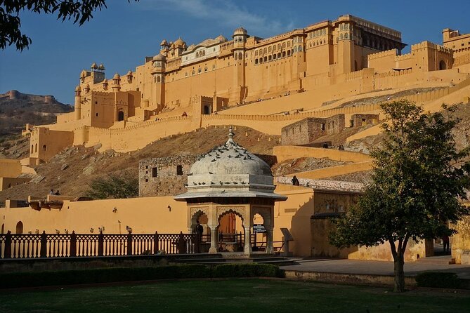 From Delhi: Same Day Amer Fort & Jaipur Tour By Car - The “all-inclusive” promise: which tickets are optional