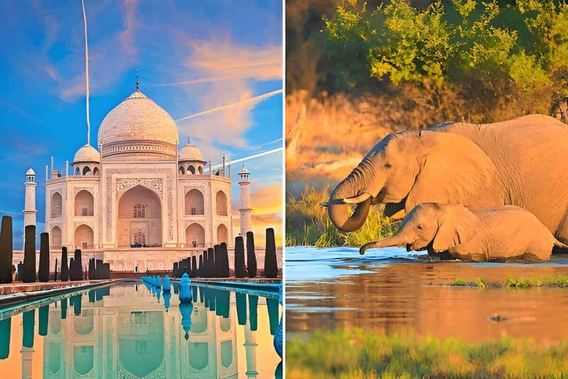 From Delhi: Sunrise Taj Mahal and Elephant Conservation Tour - Key Highlights That Make This Tour Worth It